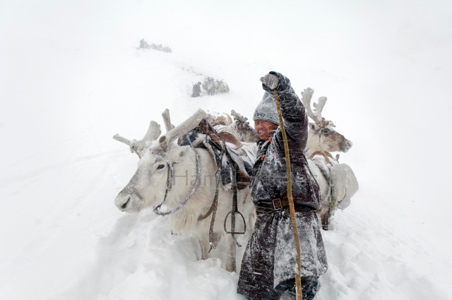 Het Dukha volk in Mongolie | Paradijsvogels Magazine