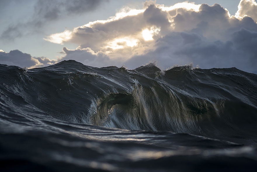 ray collins8