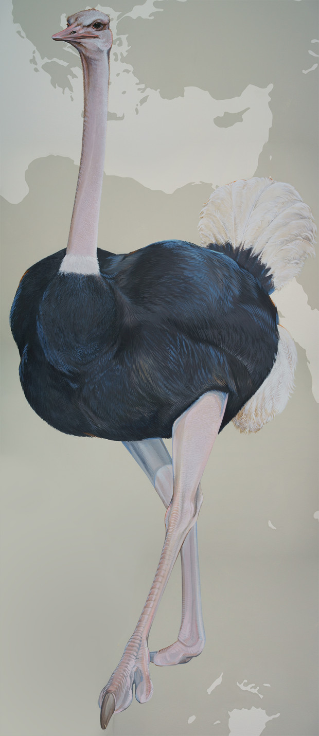 De complete evolutie van vogels in één muurschildering | Paradijsvogels Magazine