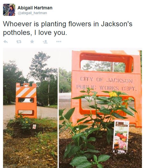 planting-flowers-in-potholes-8