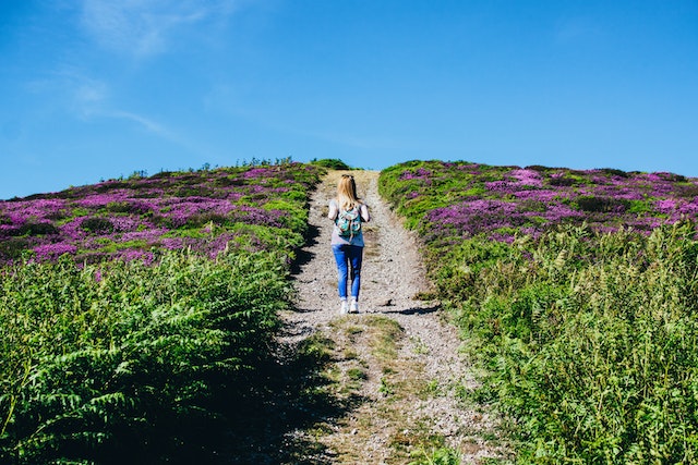 Wandelgebieden veluwe