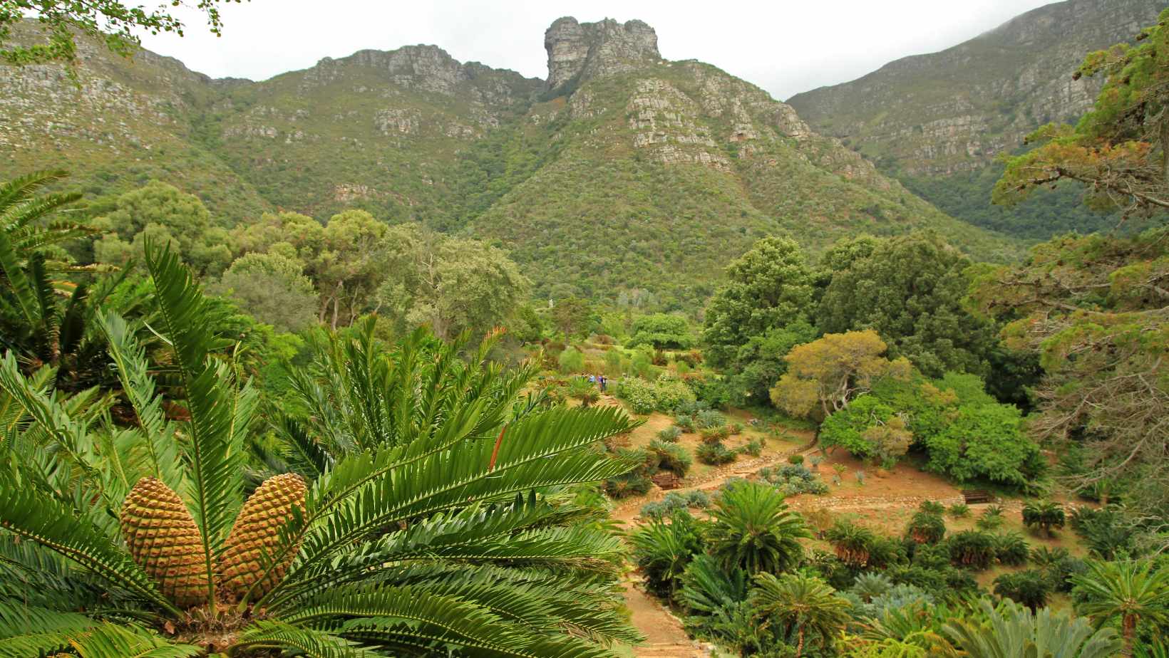 mooiste wandelroutes in kaapstad zuid-afrika